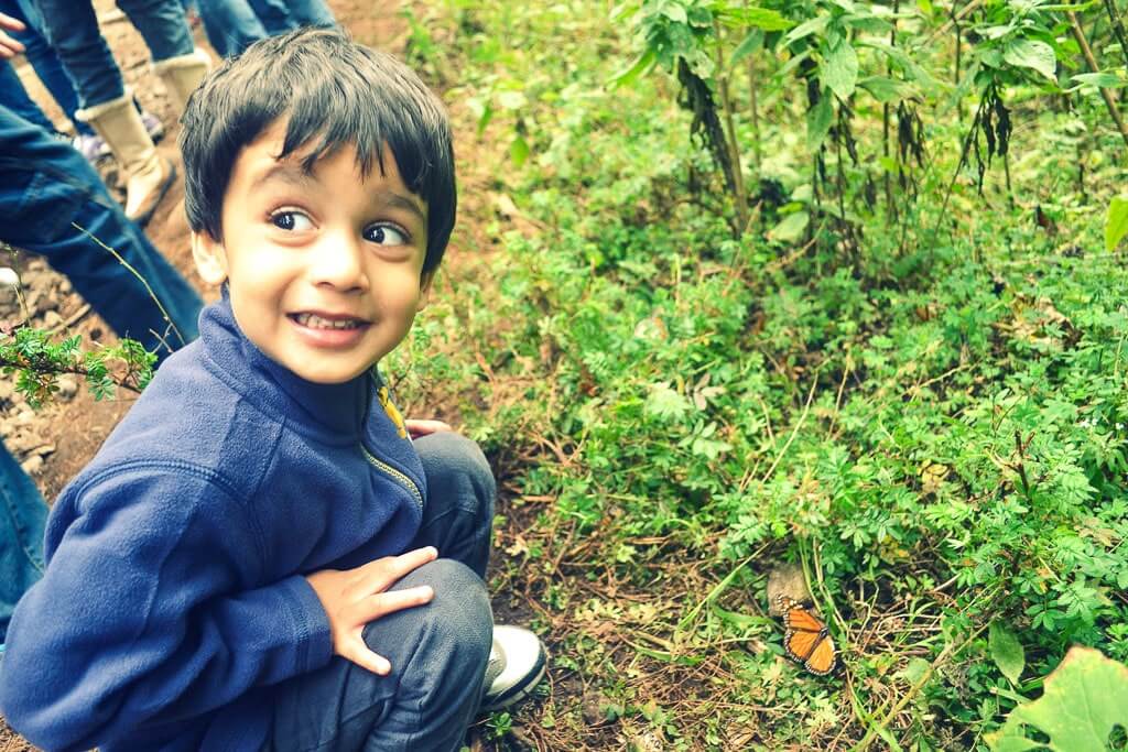 Author's son at Monarch Butterfly Reserve near Mexico City
