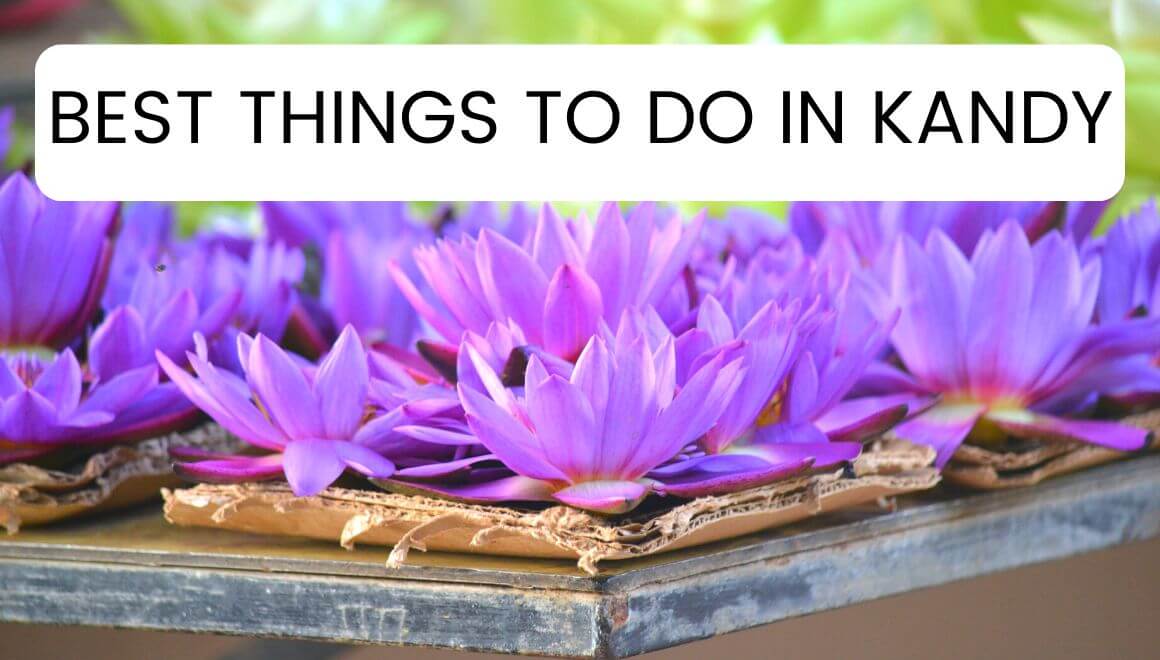 20 Incredible Things To Do In Kandy Sri Lanka