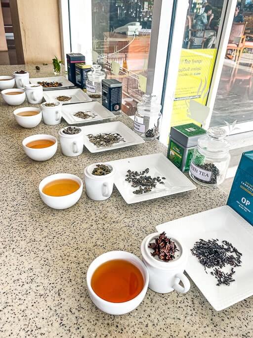 Ceylon Tea at Damro Plantation near Nuwara Eliya