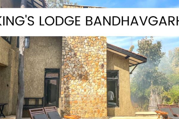 Pugdundee King’s Lodge Bandhavgarh: The Best Wildlife Resort
