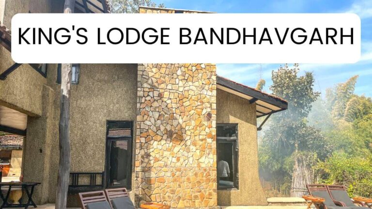 Headed to Bandhavgarh National Park for a wildlife safari? Check out this gorgeous wildlife resort called King's Lodge where you should definitely spend a night. #WildlifeResort #Bandhavgarh