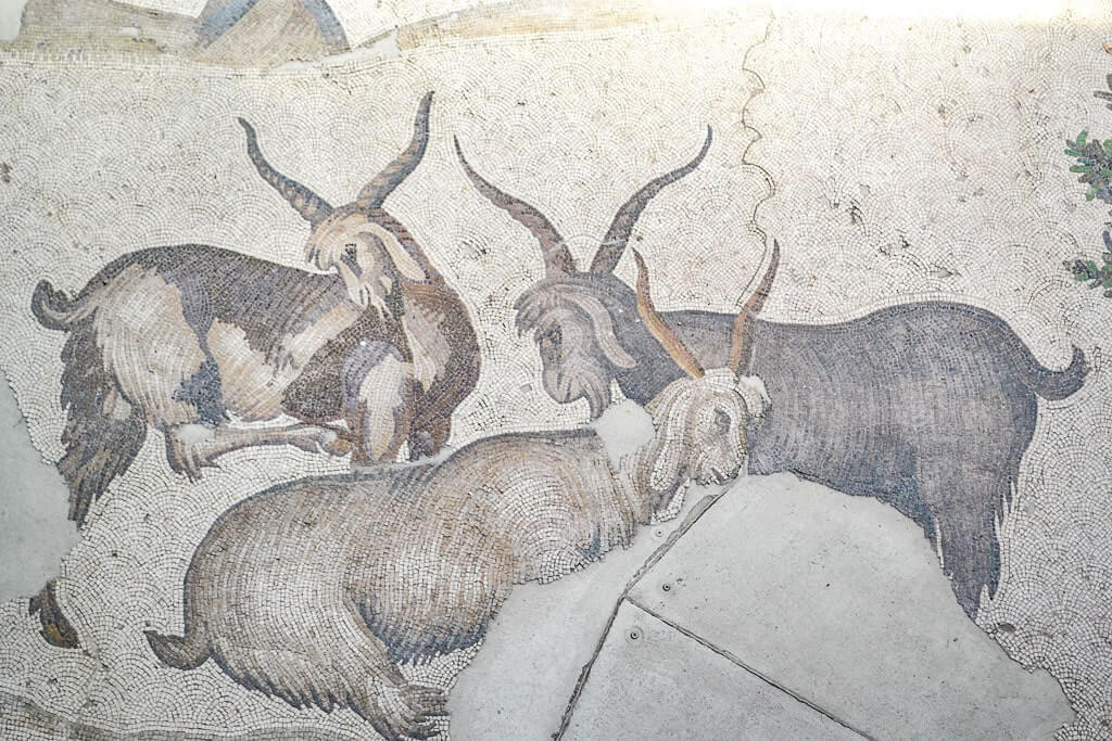 Great Palace Mosaics Museum