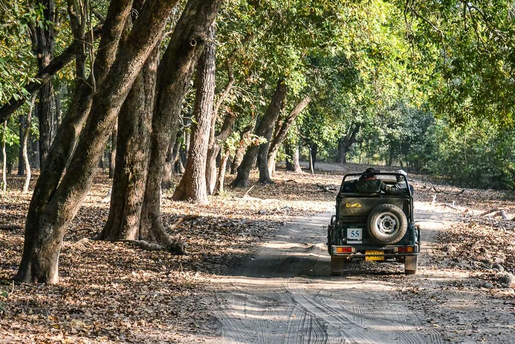 Safari gypsy India