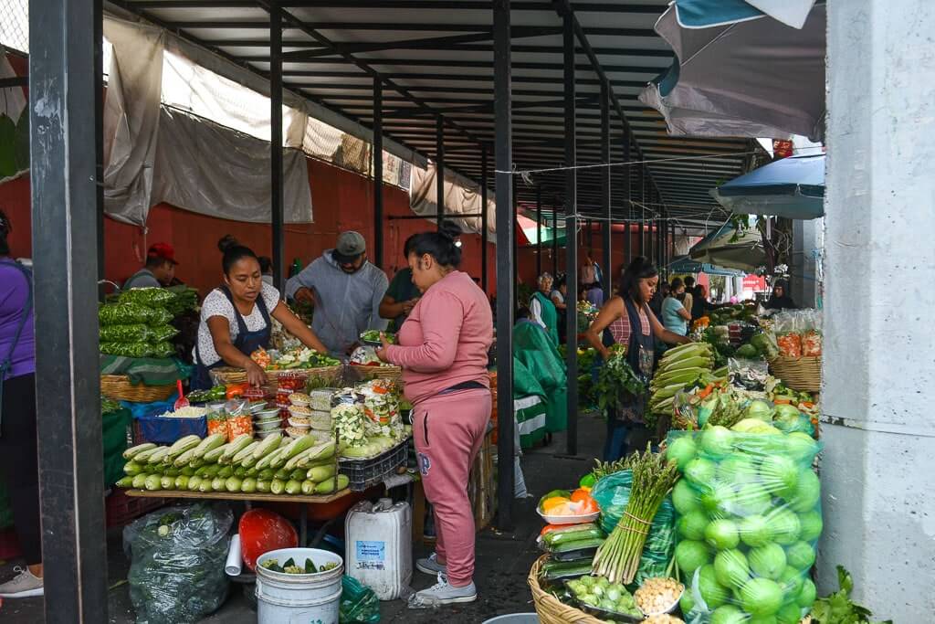 Xochimilco Market