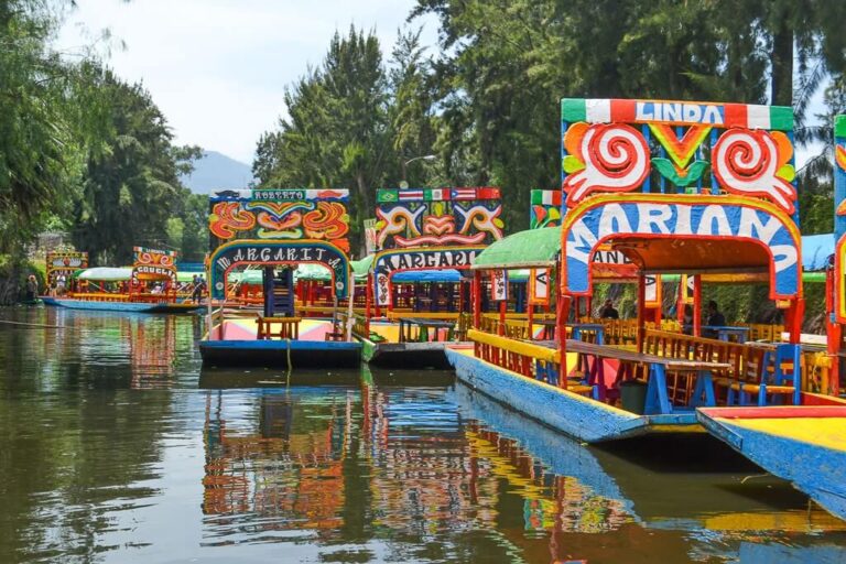 Floating Gardens Of Xochimilco Mexico City Best Visitor's Guide (2024)