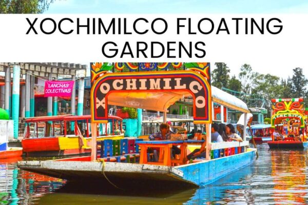 Floating Gardens Of Xochimilco Mexico City – Best Visitor’s Guide