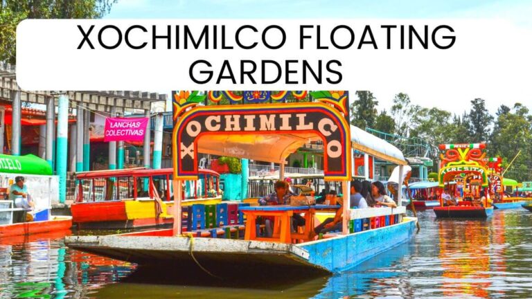 Visiting the chinampas of Xochimilco in Mexico City? Check out what you can do at Xochimilco floating gardens near Mexico City, what these unique gardens are, and how to get to Xochimilco. #Xochimilco #Chinampas #MexicoCity