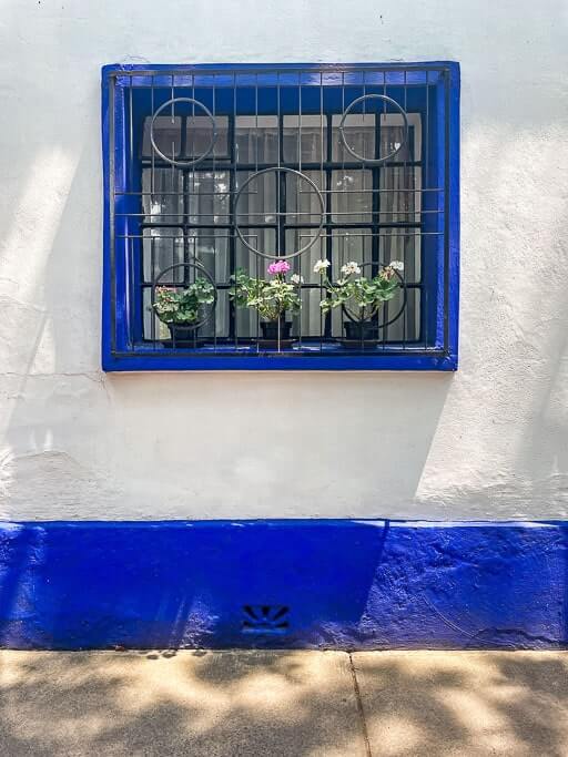 House in Coyoacan Mexico City