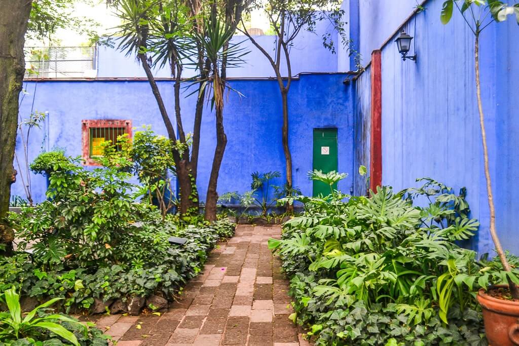 Garden at Frida Kahlo Museum