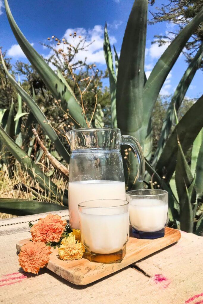 Pulque - traditional Puebla drink made from agave plant