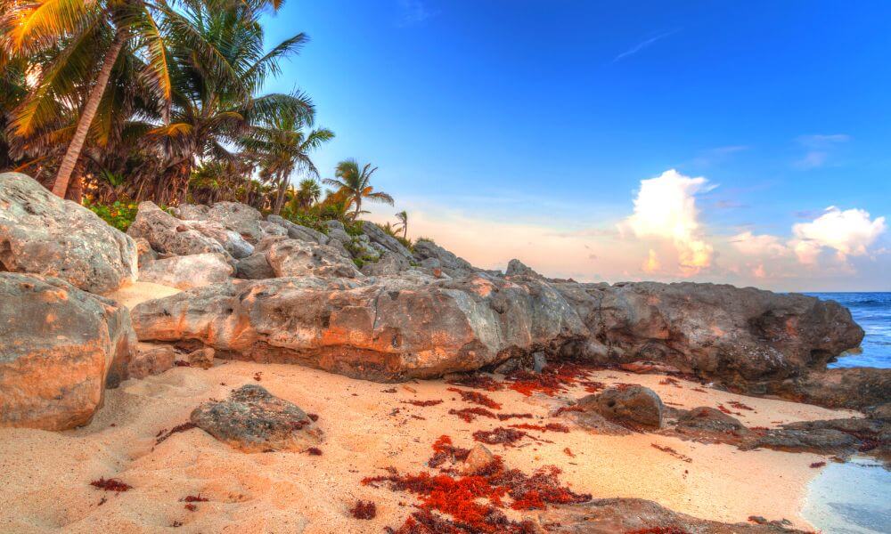 Beach at sunset in Playa del Carmen