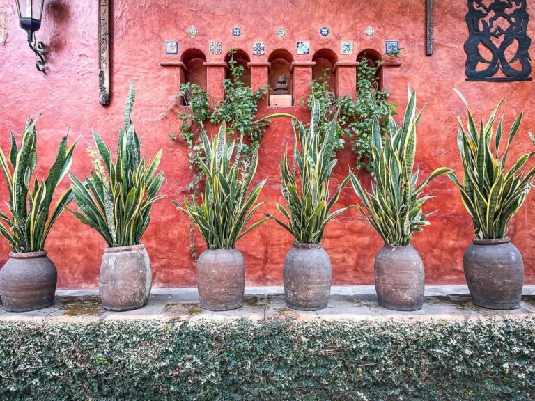 17 Best Things to Do in Cuernavaca Mexico