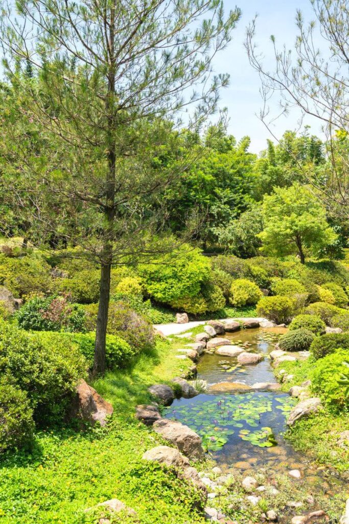 Jardines Mexico - a unique place to visit near Cuernavaca.