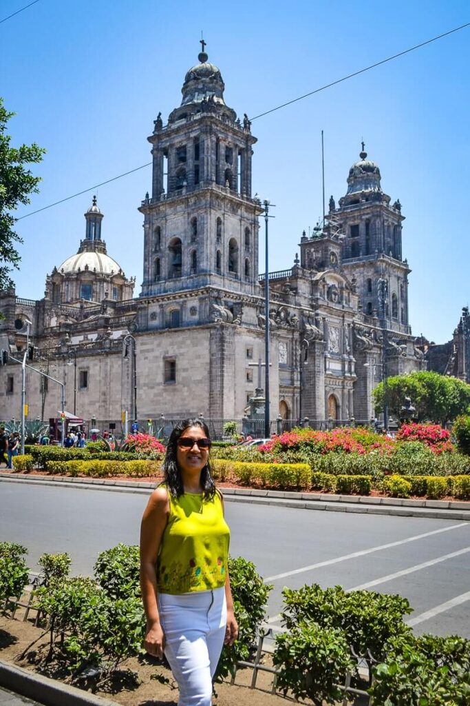 Author at Metropolitan Cathedral in Mexico City