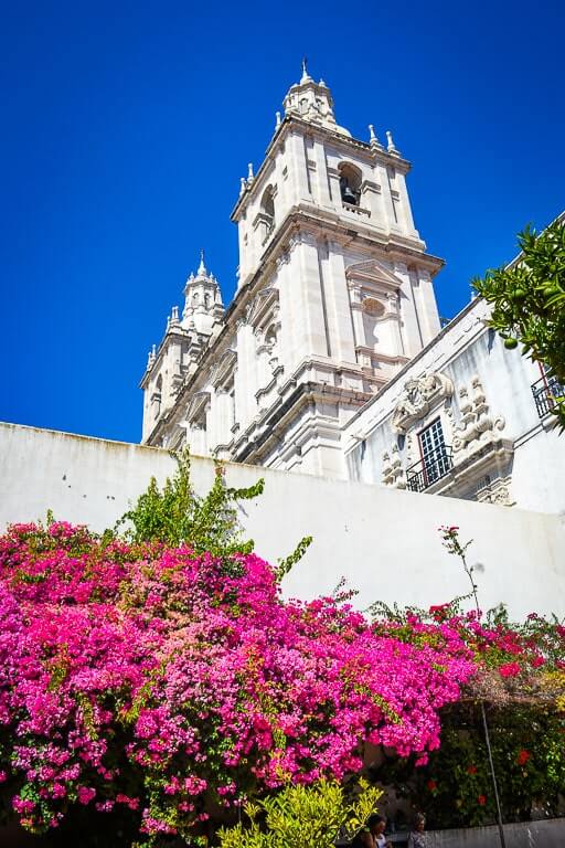 Hot pink bougainvillea covering a white monument in Lisbon in spring