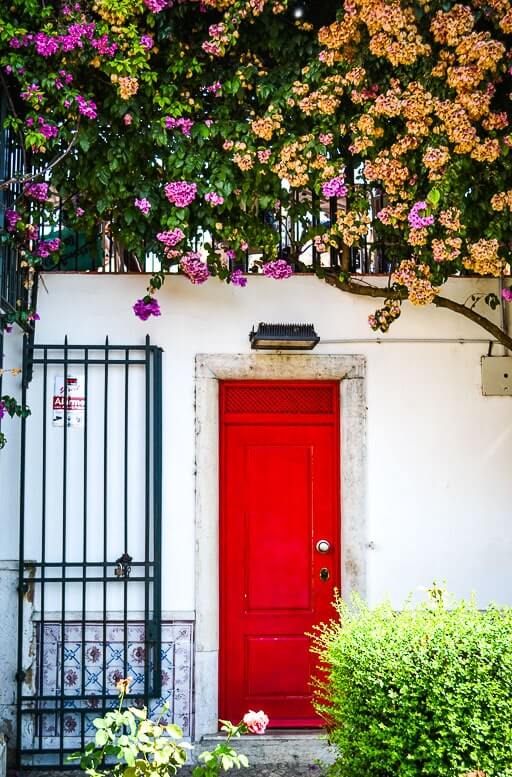 Alfama door covered with spring flowers
