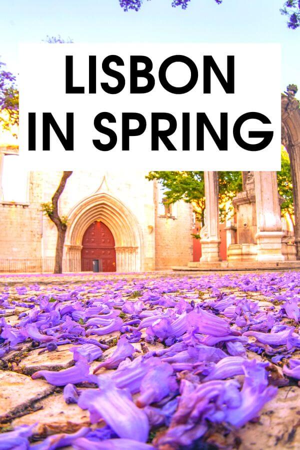 Visiting Lisbon in spring? Check out these incredible springtime Lisbon activities that include festivals, book fairs, outdoor picnics, and more.