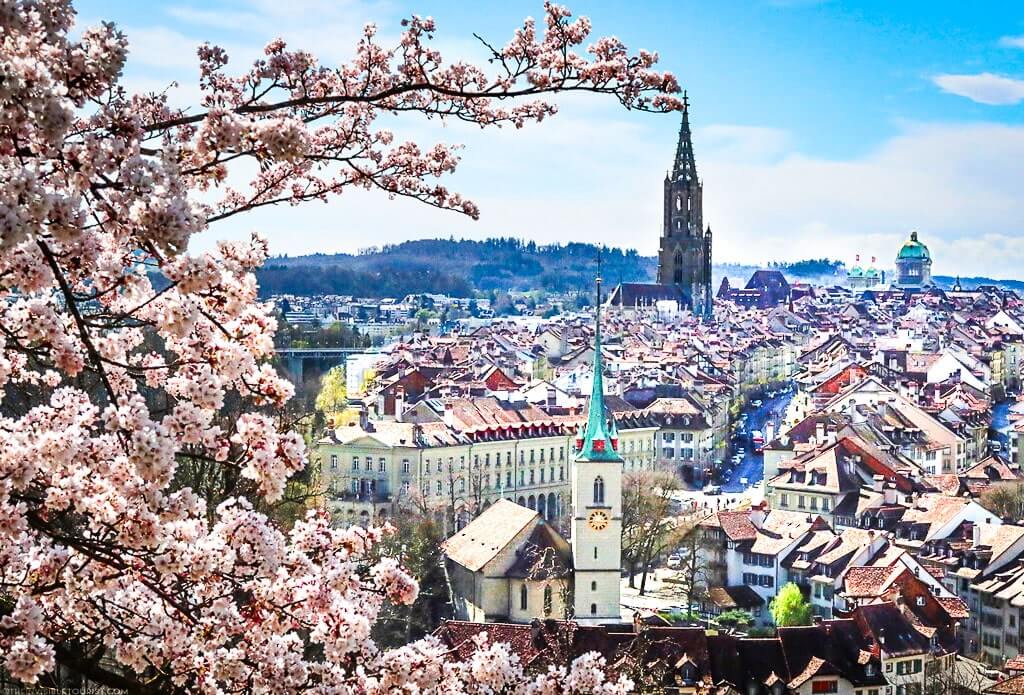 Bern Switzerland and cherry blossoms