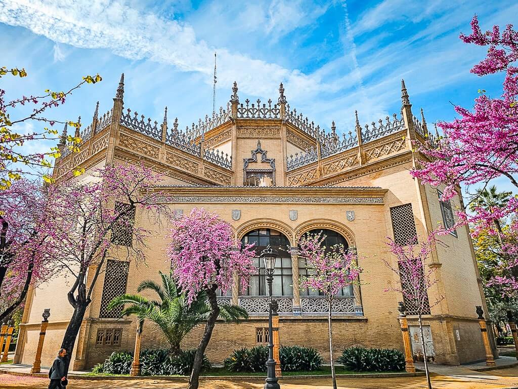 Blooming trees in Seville Spain