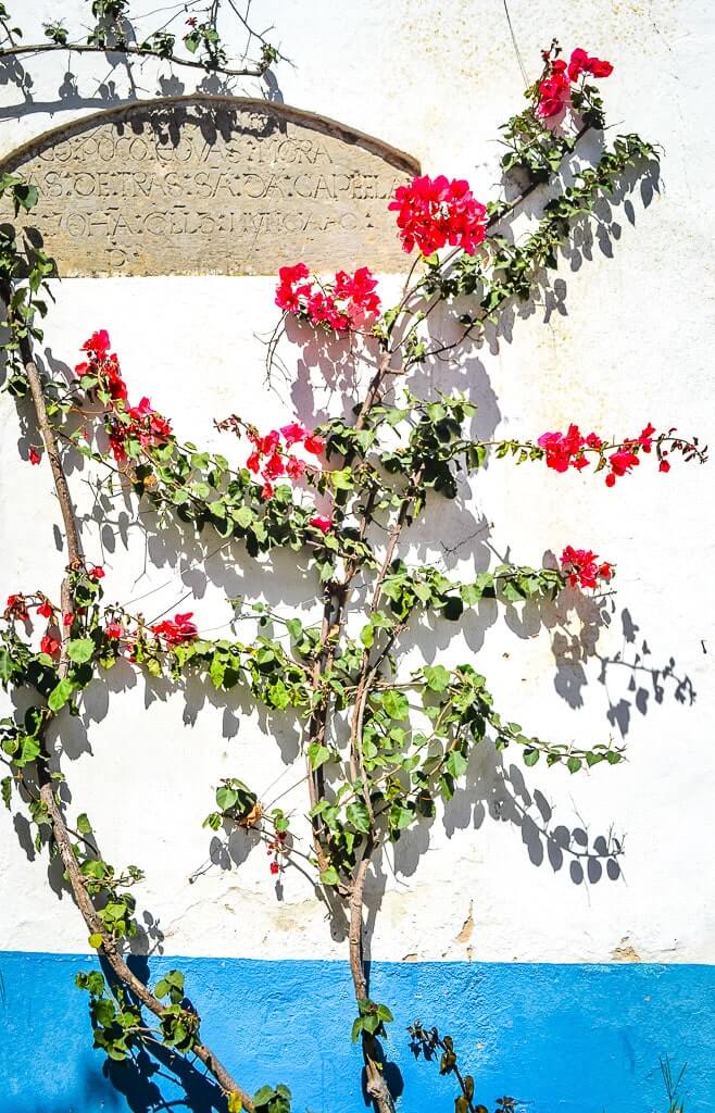 white and blue wall - beautiful pictures obidos portugal