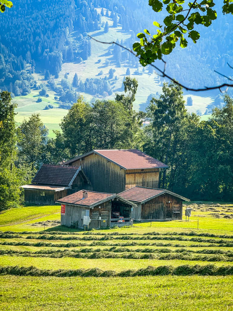 Views while hiking in Oberammagau